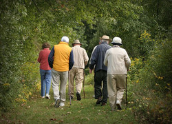 Werkgroep Ouderendag zoekt wensvervullers